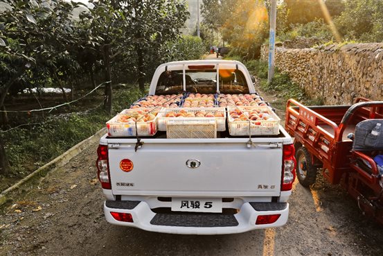 风骏5干饭版在手 或许新年目标可以大一点